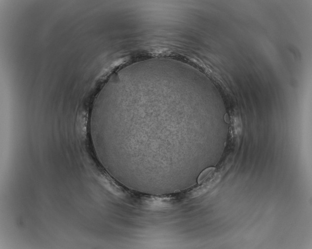 X0000111900664200908031118