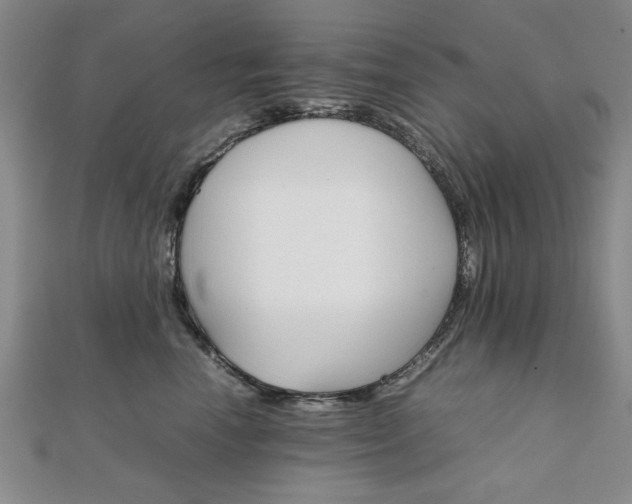 X0000111900666200908031118