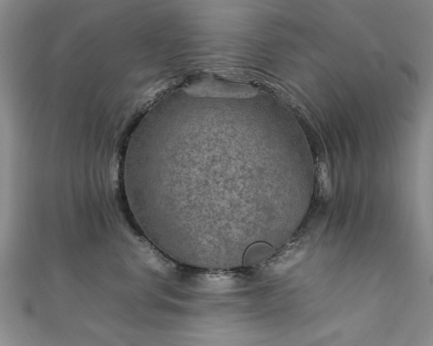 X0000111900668200908031118