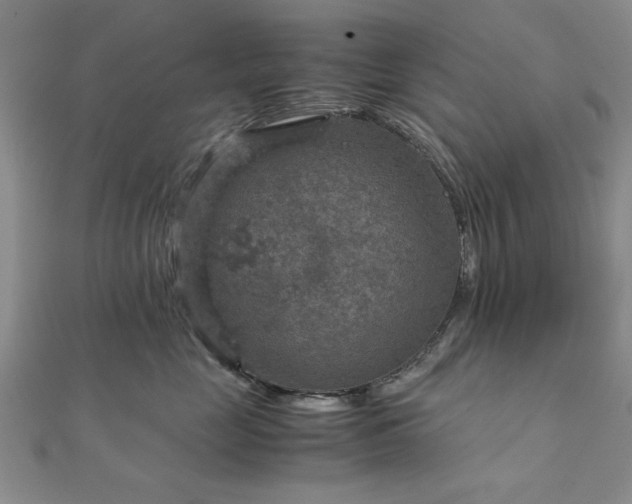 X0000111900669200908031118