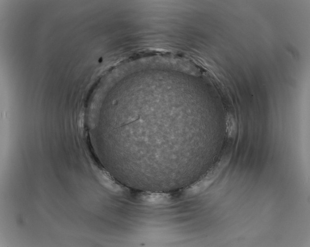 X0000111900670200908031118