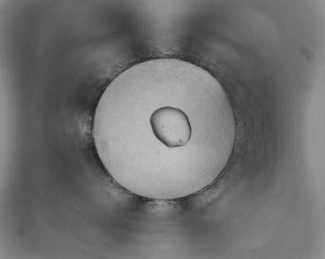 X0000111900672200908031118