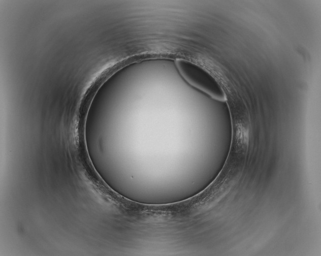 X0000111900676200908031117