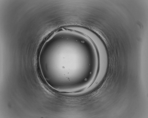 X0000111900677200908031117