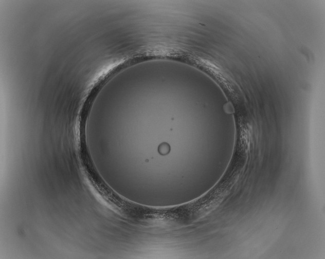 X0000111900678200908031117