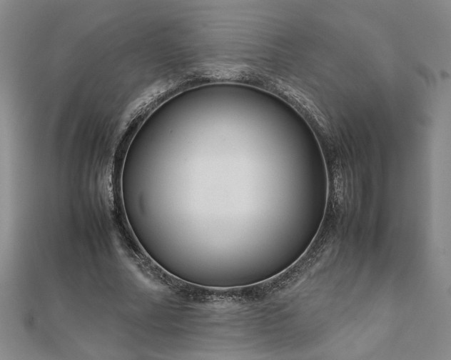 X0000111900682200908031117