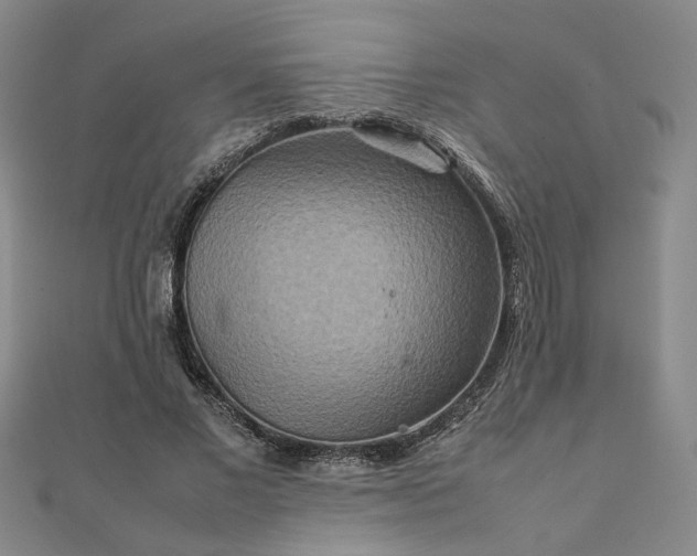 X0000111900685200908031117