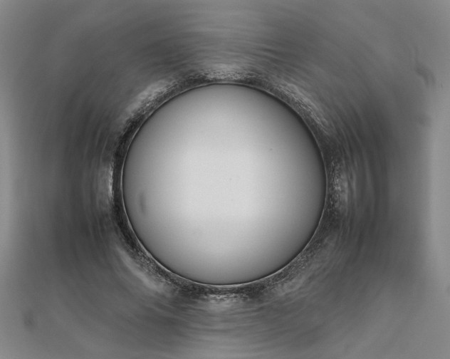 X0000111900686200908031117