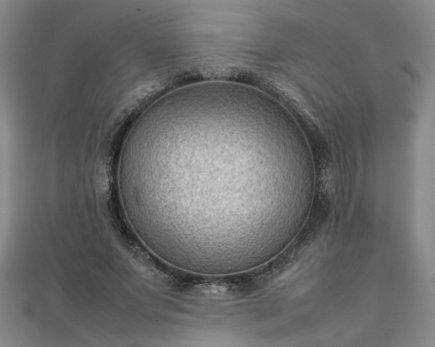 X0000111900687200908031117