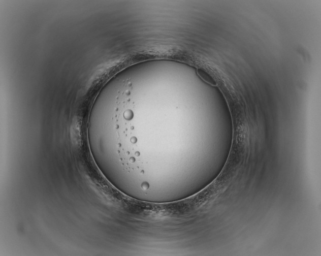 X0000111900688200908031117