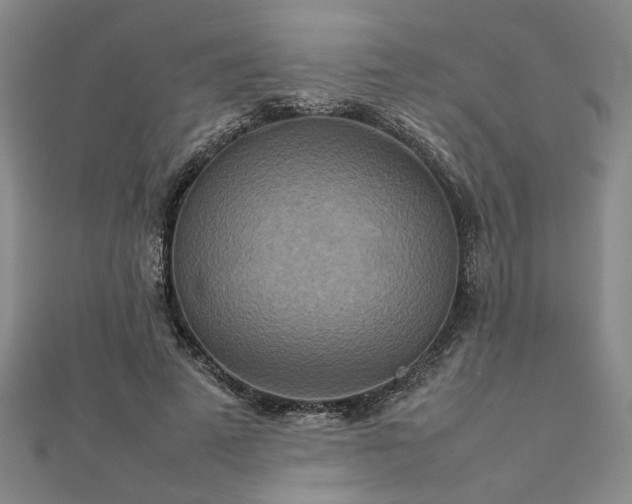 X0000111900689200908031117