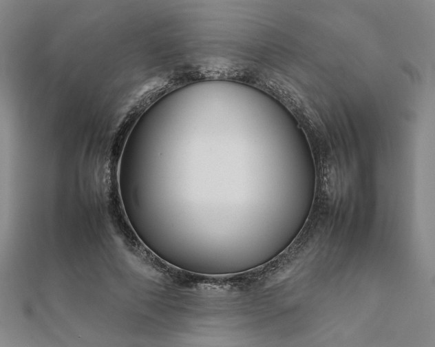 X0000111900690200908031117