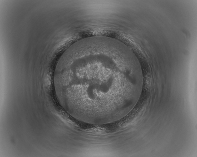 X0000111900691200908031117