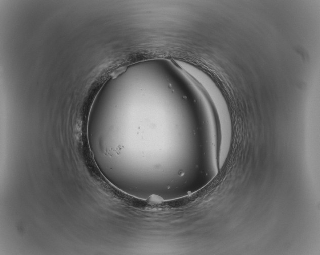 X0000111900693200908031117