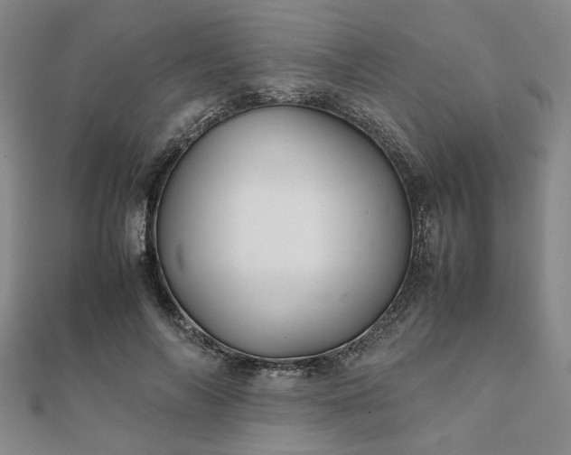 X0000111900694200908031117