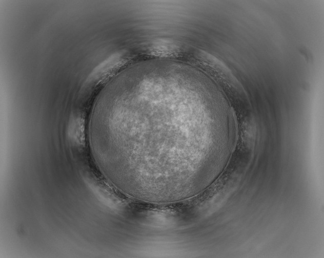 X0000111900696200908031117