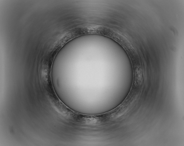 X0000111900698200908031117