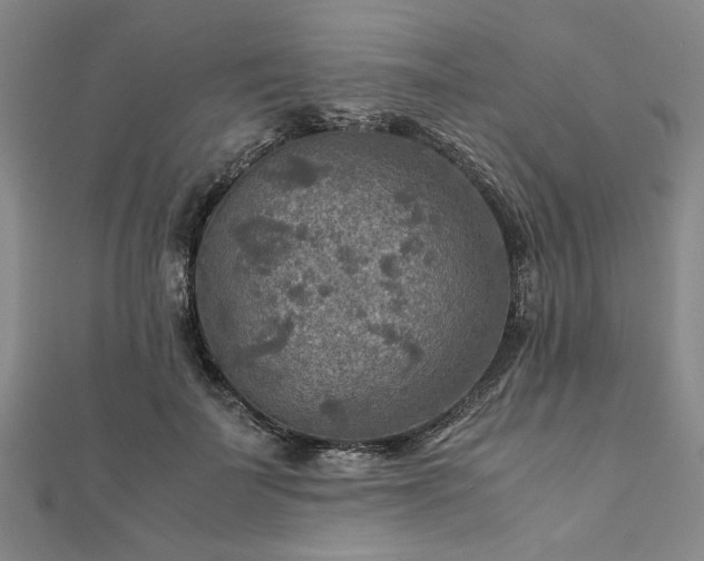 X0000111900699200908031117