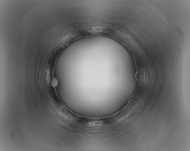 X0000111900700200908031117