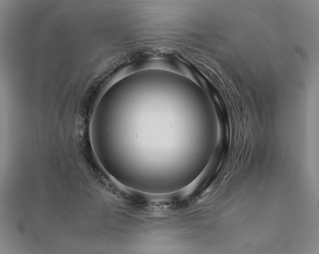 X0000111900701200908031117