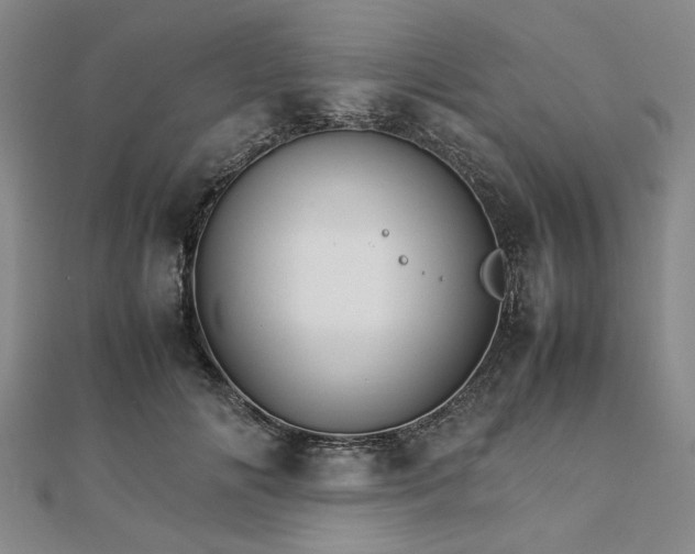 X0000111900702200908031117