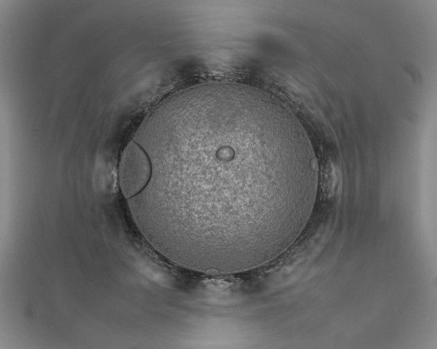 X0000111900703200908031117