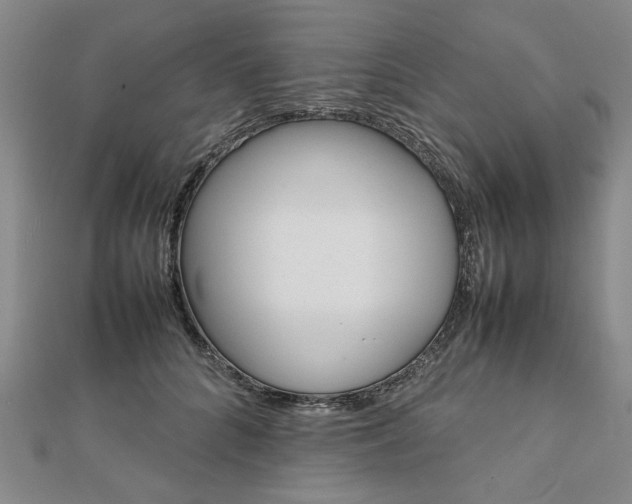 X0000111900704200908031117