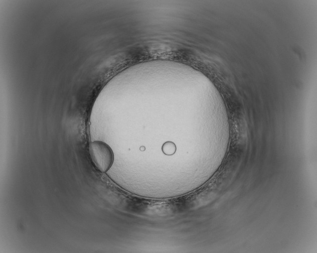 X0000111900705200908031117