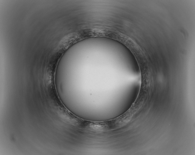 X0000111900706200908031117