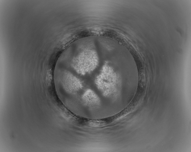 X0000111900707200908031117