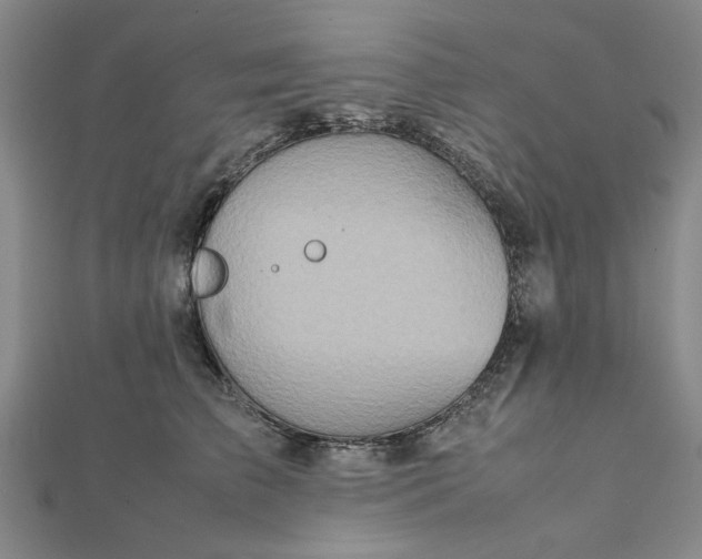 X0000111900709200908031117