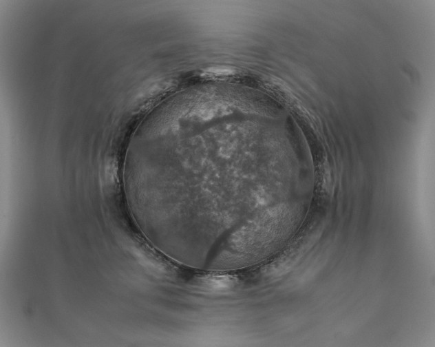 X0000111900711200908031117