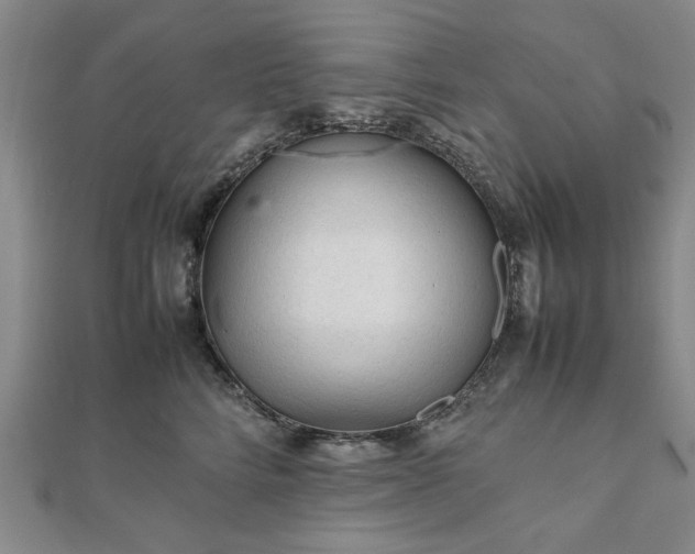 X0000111900712200908031117