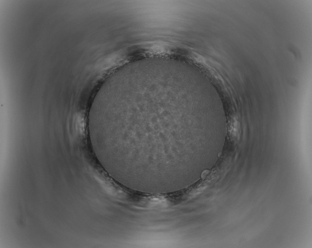 X0000111900715200908031117