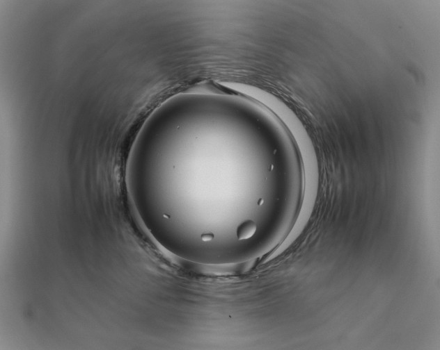 X0000111900716200908031117