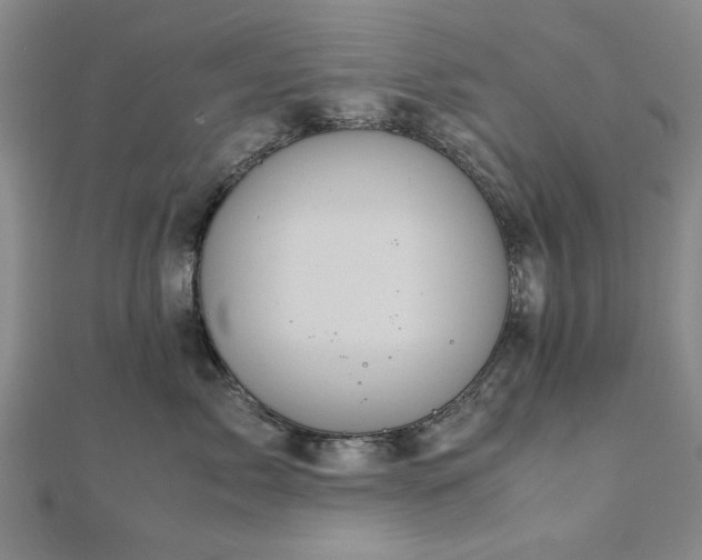 X0000111900717200908031117