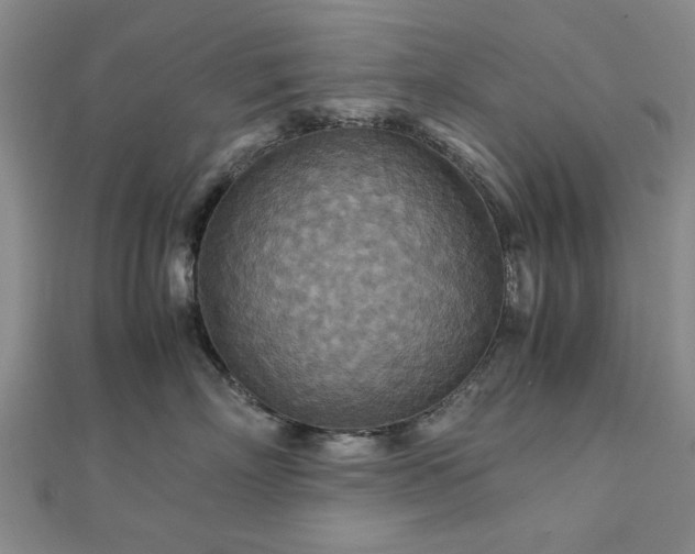 X0000111900718200908031117