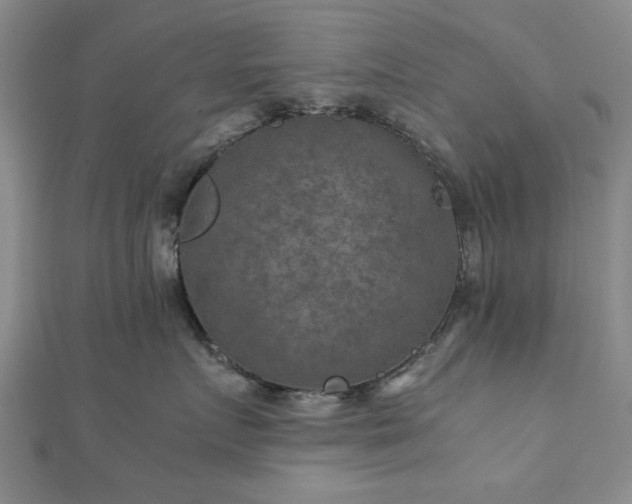 X0000111900719200908031117