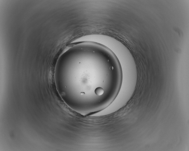 X0000111900720200908031117