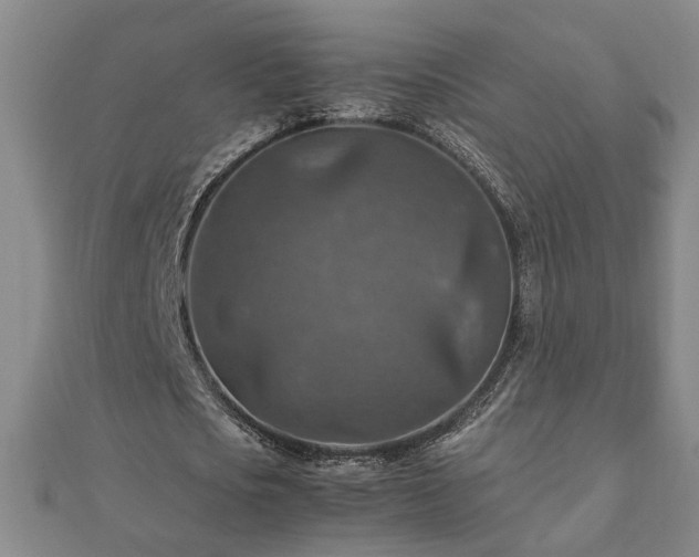 X0000111900721200908031116