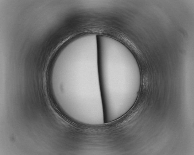 X0000111900722200908031116