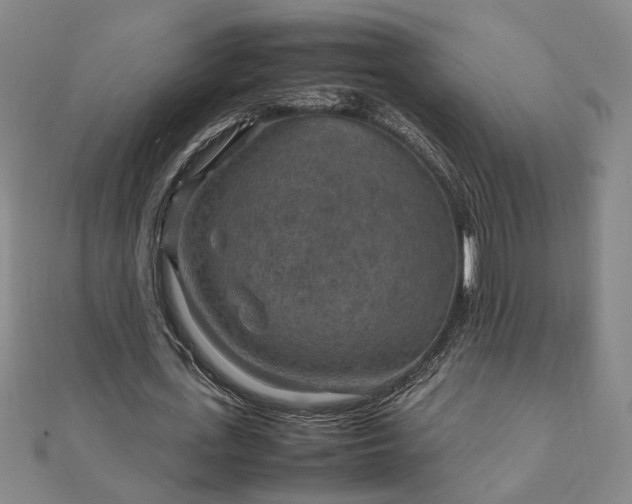 X0000111900723200908031116