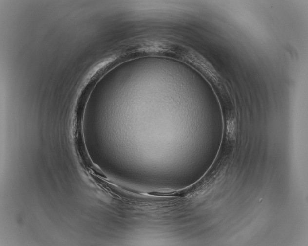 X0000111900724200908031116