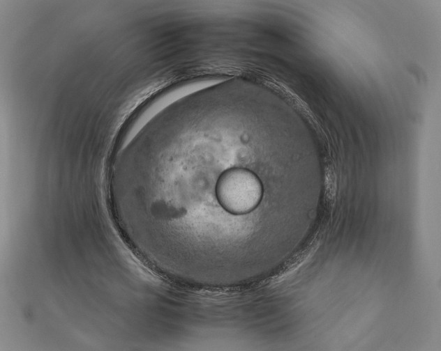 X0000111900725200908031116