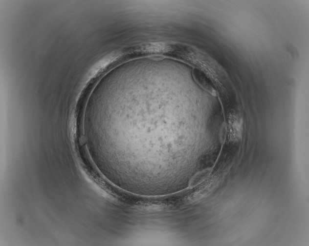 X0000111900726200908031116