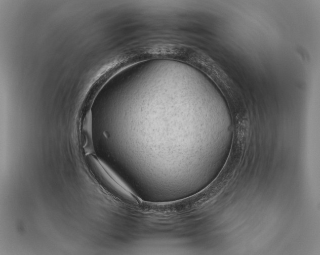 X0000111900727200908031116