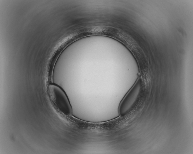 X0000111900728200908031116