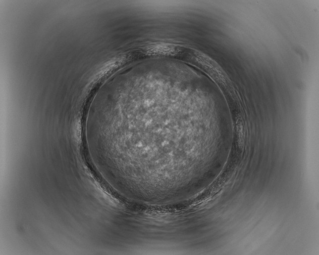 X0000111900729200908031116