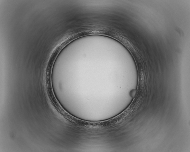 X0000111900730200908031116