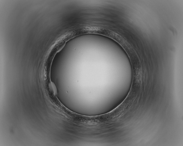 X0000111900731200908031116